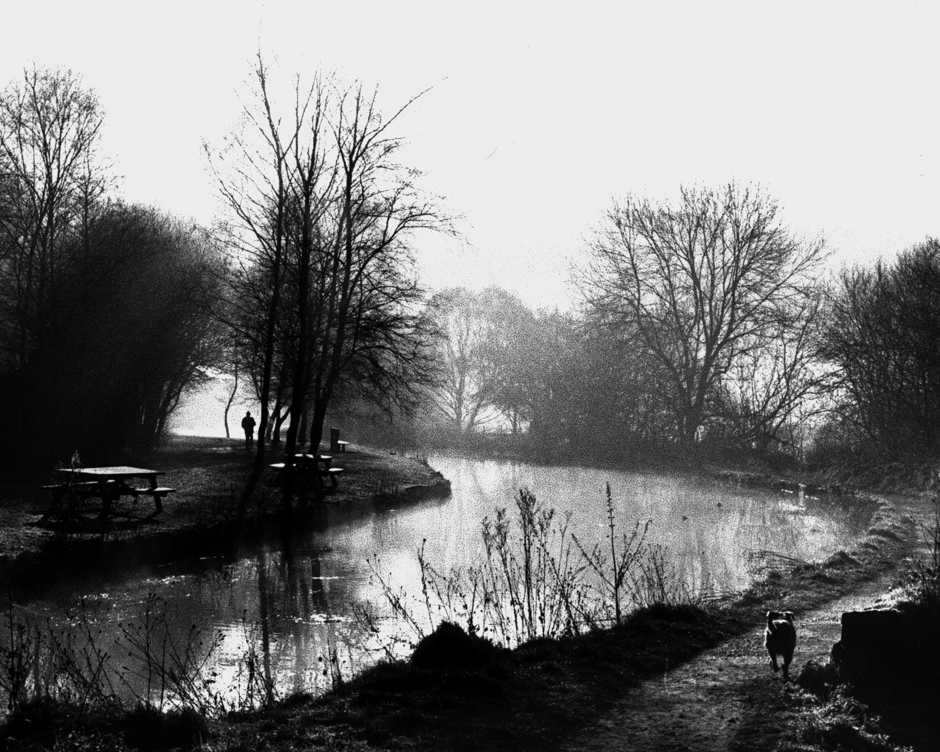 One of my early self developed images, the dog belongs to the man on the opposite side of the canal, it was a foggy walk up around Cromford mill and I love the grainy atmosphere of the print.
