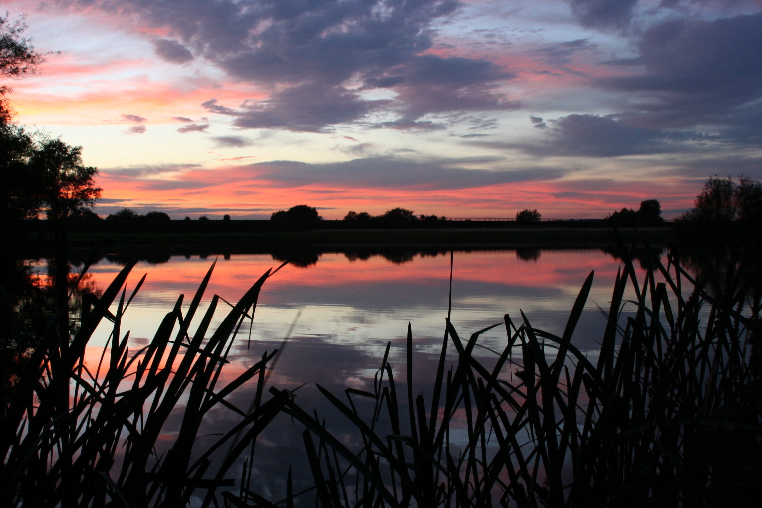 A resting place, where i scattered the ashes